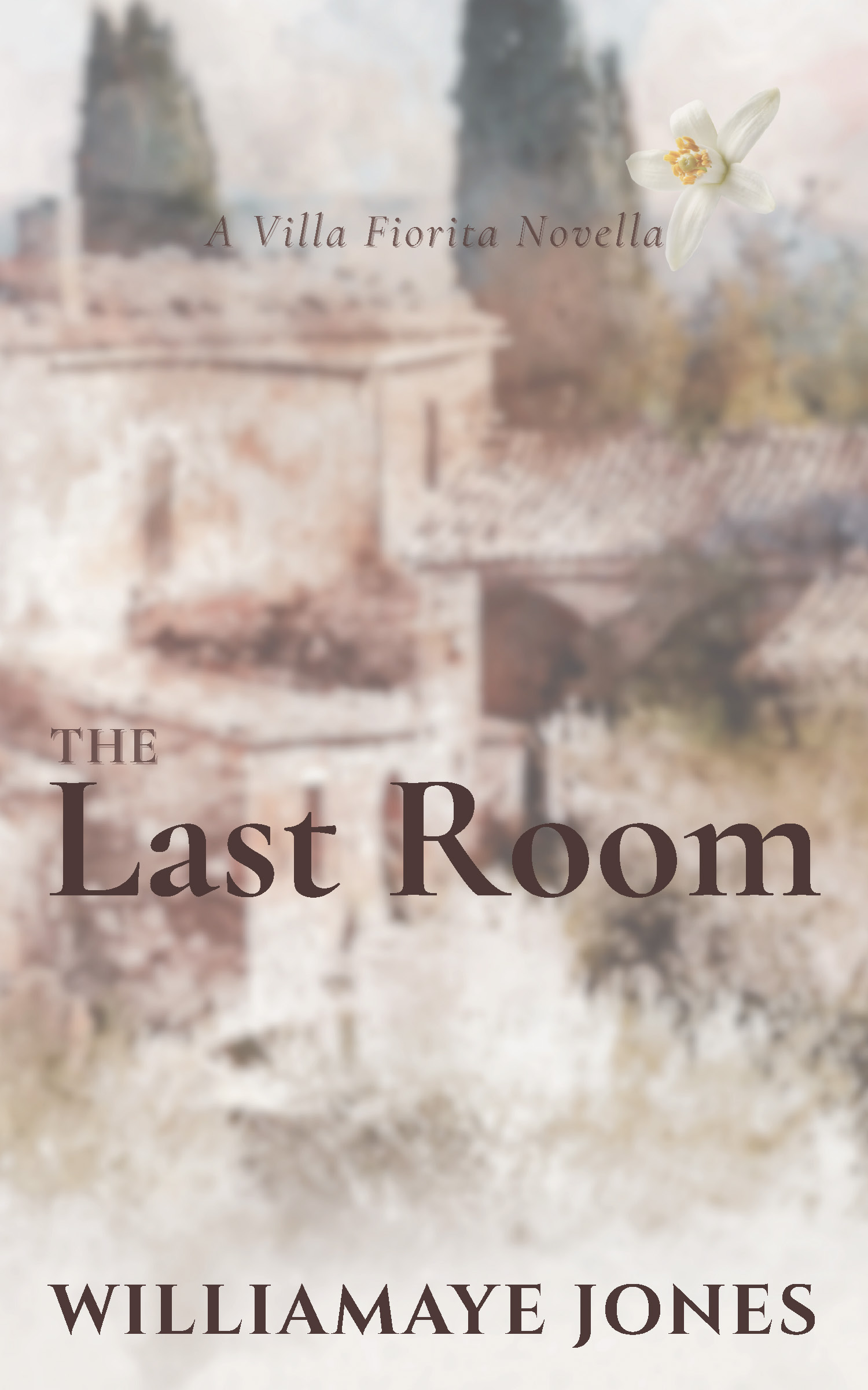 Book cover of The Last Room by Williamaye Jones, a Villa Fiorita novella set in Tuscany.